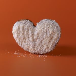 PALMERA COCO